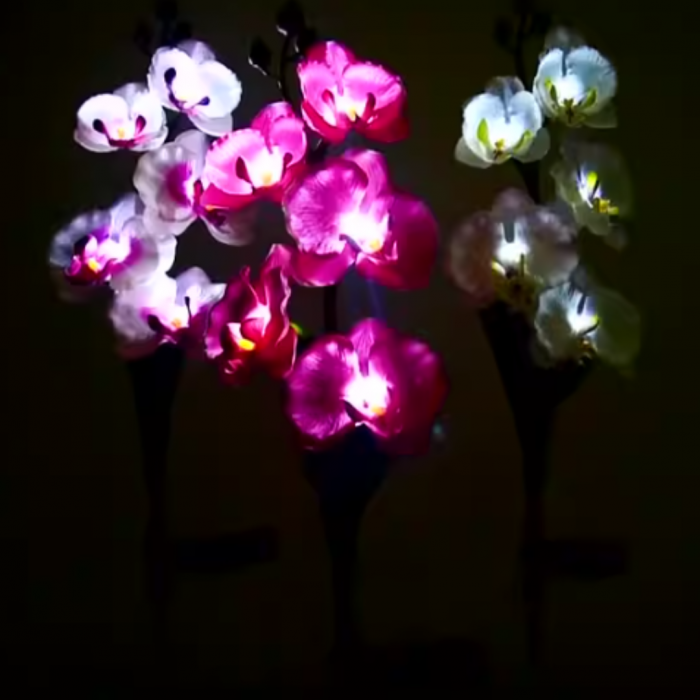 Set 2 x Lampi Solare Orhidee cu LED – Decor Romantic pentru Gradina, Tarus si Panou Solar