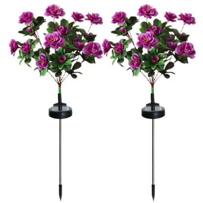 Lampa Solară Set 2 x Trandafiri Roz cu 7 Flori LED M373-8 – Decor Floral de Gradina, IP66, 60cm, Iluminare Calda