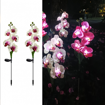 Set 2 Lampi Solare Orhidee Rosie – LED Gradina