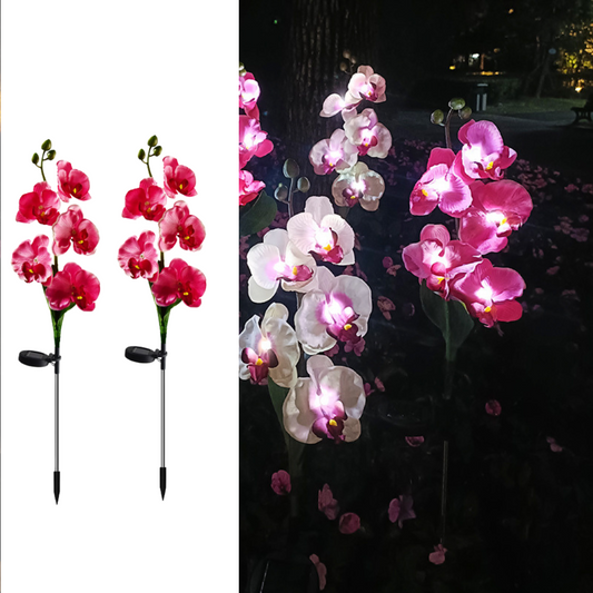 Set 2 Lampi Solare Orhidee Rosie – LED Gradina